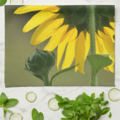 Sunflower Halo Kitchen Towel Theedoek (Gevouwen)