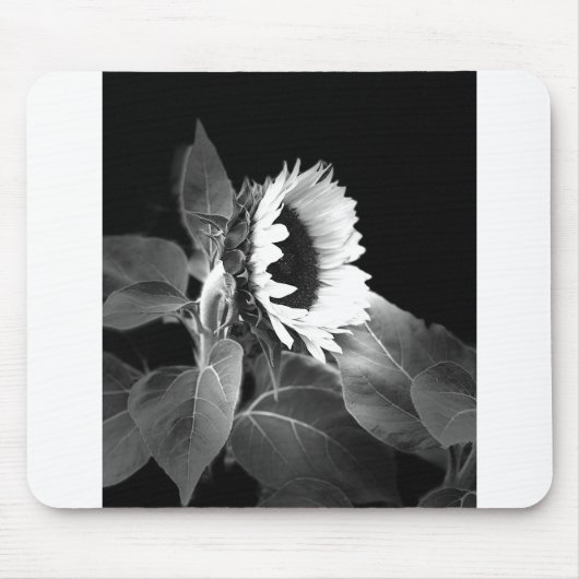 sunflower in black and white muismat (Voorkant)