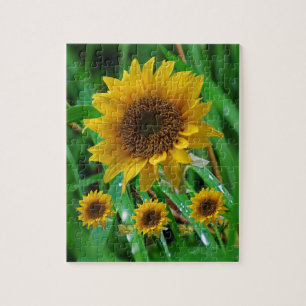 Sunflower Jigzaag Puzzle Legpuzzel