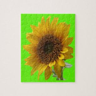 Sunflower Jigzaag Puzzle Legpuzzel