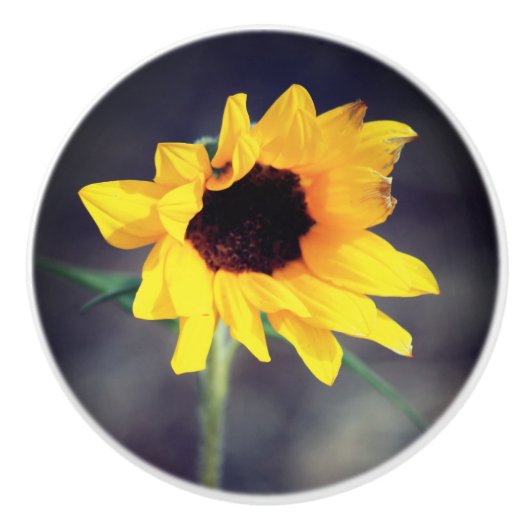 Sunflower Love Ceramic Knob. Keramische Knop (Voorkant)