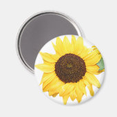 SunFlower Magneet (Voorkant / Achterkant)