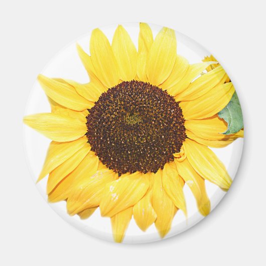 SunFlower Magneet (Voorkant)