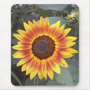 Sunflower Mousepad Muismat