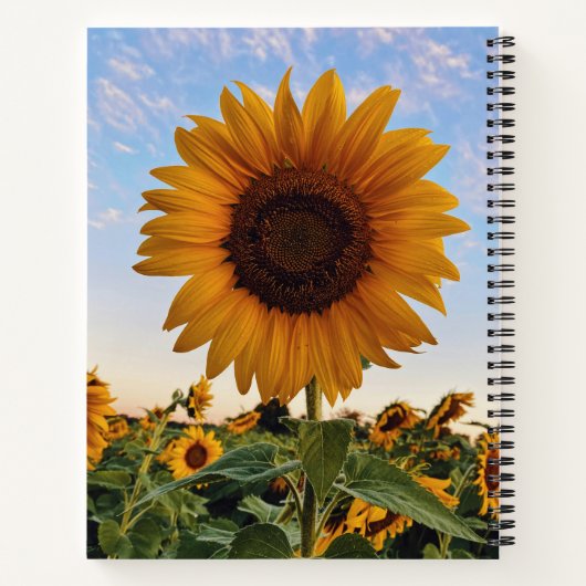 Sunflower Notebook | Bloom Inspiration Notitieboek (Achterkant)