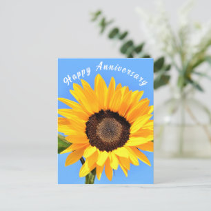 Sunflower on Blue Sky Anniversary Postcard Briefkaart