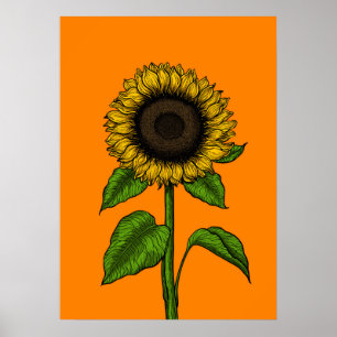 Sunflower on orange poster