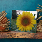 Sunflower Photo Plaque 8x10 with Stand for Display (Côté)