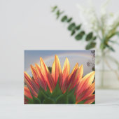 Sunflower Rainbow ~ carte postale (Debout devant)