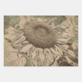 Sunflower Sepia Tone Brown Art Texture Decoupage Inpakpapier Vel (Voorkant)