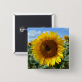 Sunflower Square Badge Vierkante Button 5,1 Cm (Voorkant /achterkant)