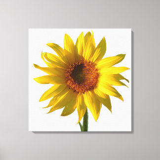 Sunflower Sunshine Canvas Afdruk
