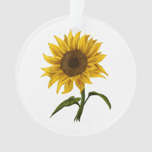 Sunflower Sunshine Floral Aquarelle Fleur