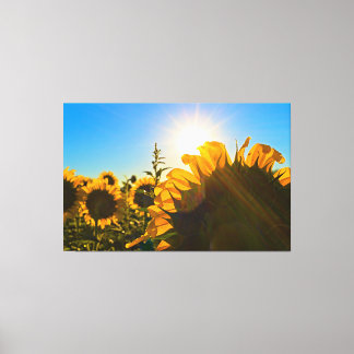 Sunflower Sunstar Canvas Afdruk