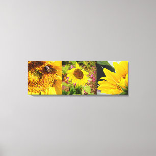 Sunflower Trio Canvas Afdruk