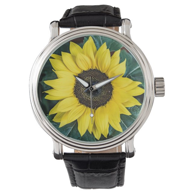 Sunflower Watch Horloge (Voorkant)