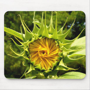 Sunflower Whirl Muismat
