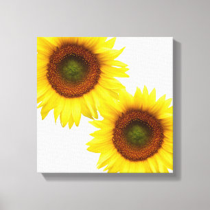 Sunflower Wrapped Canvas Square Afdruk