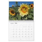 Sunflowers (2nd edition) kalender (Jan 2026)