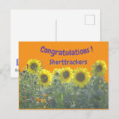 Sunflowers Congratulations Cust. Text Postcard Briefkaart (Voorkant / Achterkant)