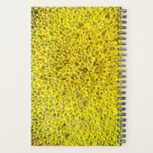 Sunflowers customizable planner (Dos)
