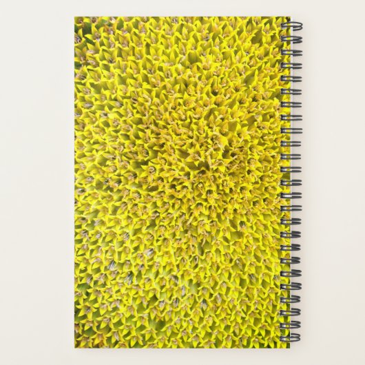 Sunflowers customizable planner (Dos)