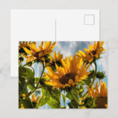 Sunflowers Feestdagenkaart (Voorkant / Achterkant)