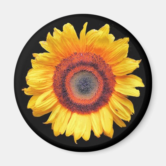 SUNFLOWERS MAGNEET (Voorkant)