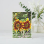 SunFlowers Post Card Briefkaart (Staand voorkant)