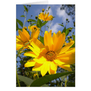 Sunflowers Toutes les occasions Carte