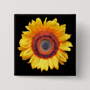SUNFLOWERS VIERKANTE BUTTON 5,1 CM
