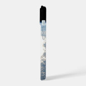 Sunglint Reflète Le Golfe Du Mexique (Côté gauche)