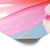 Sunkissed Salmon Poster (Hoek)