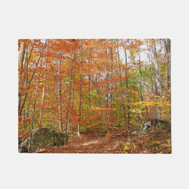 Sunlight Dapapped Herfst Trail at Laurel Hill Park Deurmat (Voorkant)