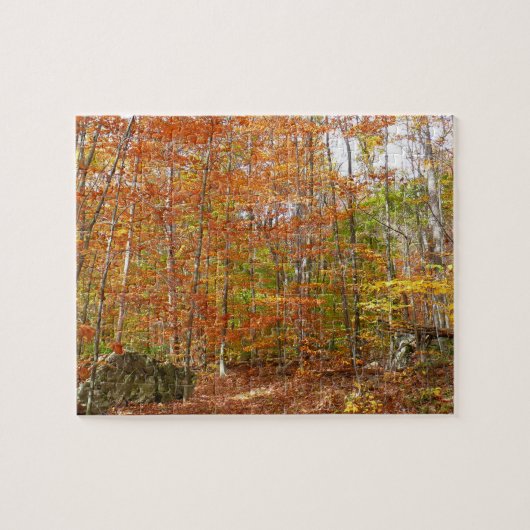 Sunlight Dapapped Herfst Trail at Laurel Hill Park Legpuzzel (Horizontaal)