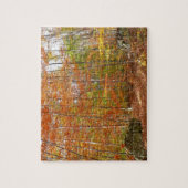 Sunlight Dapapped Herfst Trail at Laurel Hill Park Legpuzzel (Verticaal)