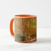 Sunlight Dapapped Herfst Trail at Laurel Hill Park Mok (Voorkant links)