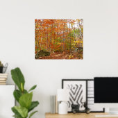 Sunlight Dapapped Herfst Trail at Laurel Hill Park Poster (Thuiskantoor)