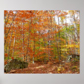 Sunlight Dapapped Herfst Trail at Laurel Hill Park Poster (Voorkant)