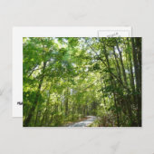 Sunlight on Wooded Path in Centennial Park Briefkaart (Voorkant / Achterkant)