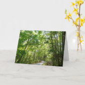 Sunlight on Wooded Path in Centennial Park Kaart (Gele Bloem)