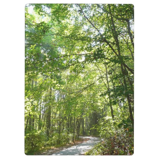 Sunlight on Wooded Path in Centennial Park Klembord (Achterkant)