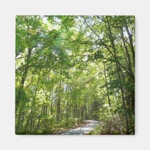 Sunlight on Wooded Path in Centennial Park Magneet