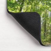 Sunlight on Wooded Path in Centennial Park Muismat (Hoek)