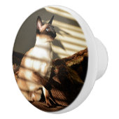 Sunlight Shadows Siamese Cat Keramische Knop (Rechts)