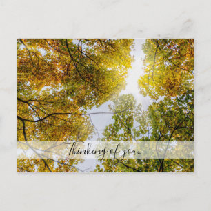 Sunlight through Autumn Sugar Maples Thinking of U Briefkaart