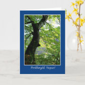 Sunlight Through Feuilles : Carte d'anniversaire : (Fleur jaune)