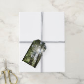 Sunlight Through Pine Trees Cadeaulabel (Met Touw)