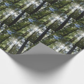 Sunlight Through Pine Trees Cadeaupapier (Hoek)