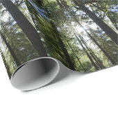 Sunlight Through Pine Trees Cadeaupapier (Rol Hoek)